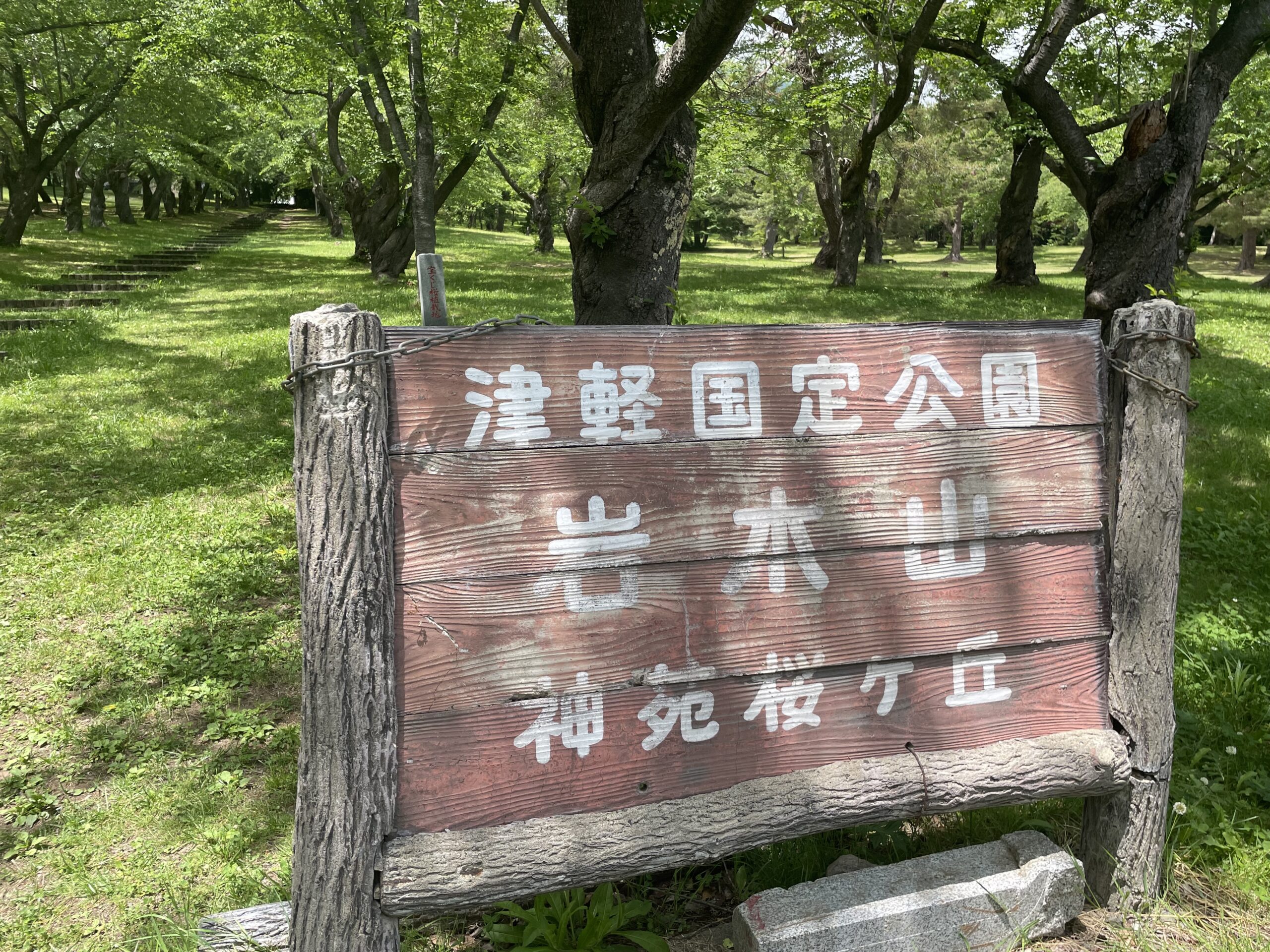 桜林公園