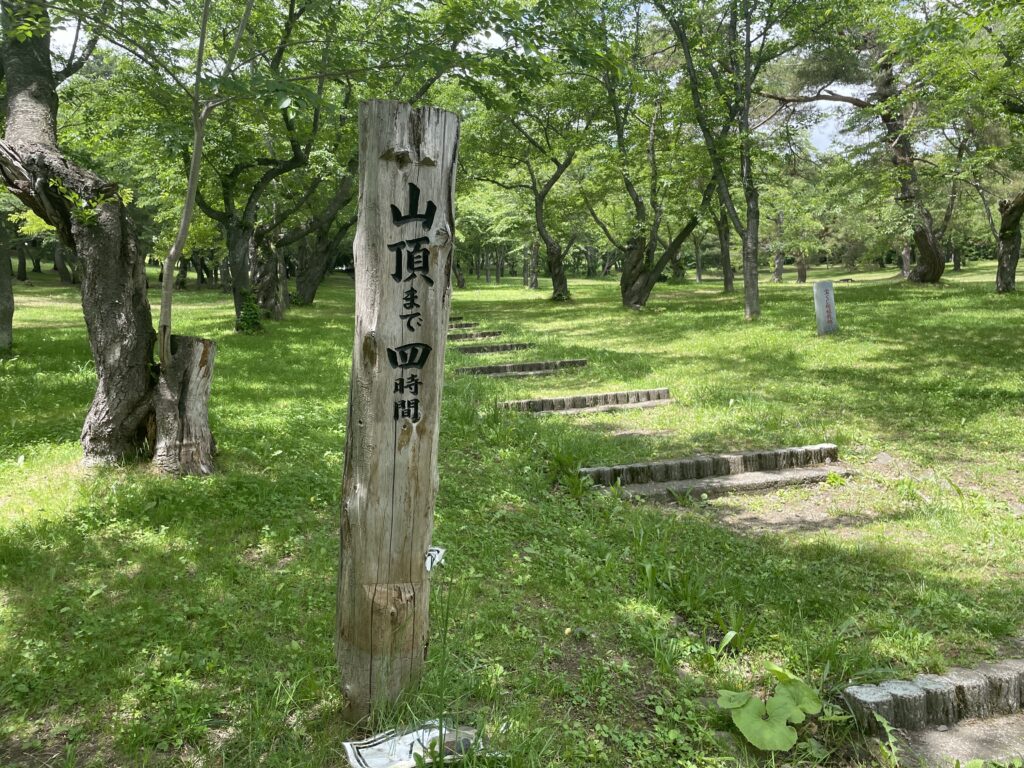 桜林公園