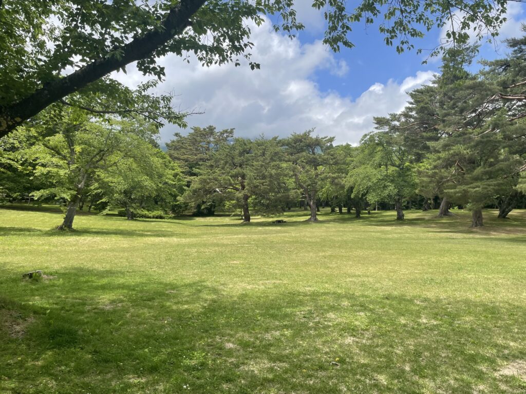 桜林公園